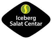 icebergnew.png